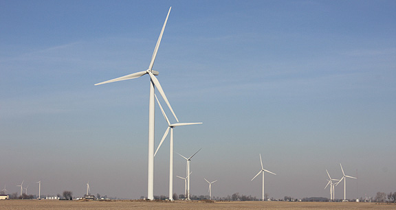 Wildcat Wind Farm